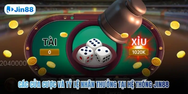 Tài Xỉu JIN88 – Top 5 Bí Quyết Để Về Bờ An Toàn 2026 - hình ảnh - tkenjcjyzj.top Tài Xỉu JIN88 – Top 5 Bí Quyết Để Về Bờ An Toàn 2026 - hình ảnh - tkenjcjyzj.top