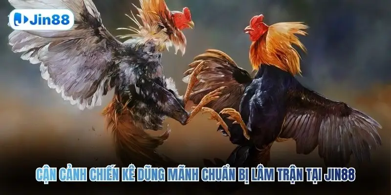 Đá Gà Cựa Sắt JIN88 – Đấu Trường Chân Thực Top 1 2026 - hình ảnh - tkenjcjyzj.top