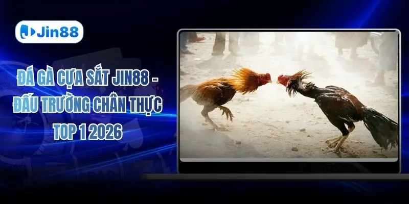 Đá Gà Cựa Sắt JIN88 – Đấu Trường Chân Thực Top 1 2026 - hình ảnh - tkenjcjyzj.top