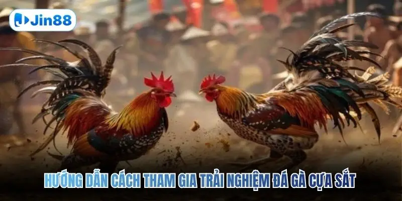 Đá Gà Cựa Sắt JIN88 – Đấu Trường Chân Thực Top 1 2026 - hình ảnh - tkenjcjyzj.top